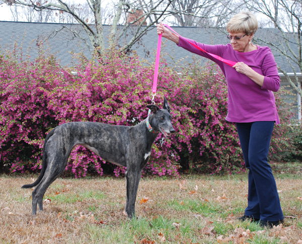 Greyhound Crossroads Photography Assistant hold body shot